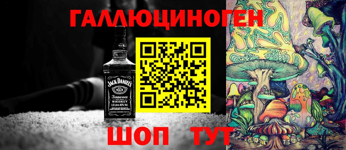 Псилоцибиновые грибы Psilocybe Сланцы